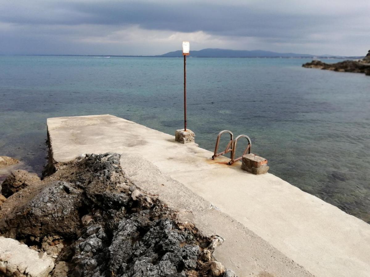 بورتو سانتو ستيفانو Villa Flora Argentario المظهر الخارجي الصورة