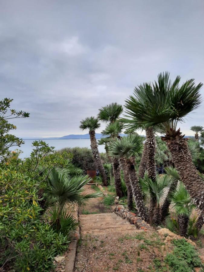 بورتو سانتو ستيفانو Villa Flora Argentario المظهر الخارجي الصورة